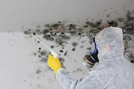 Best Asbestos and Lead Testing During Mold Inspection  in Morristown, IN